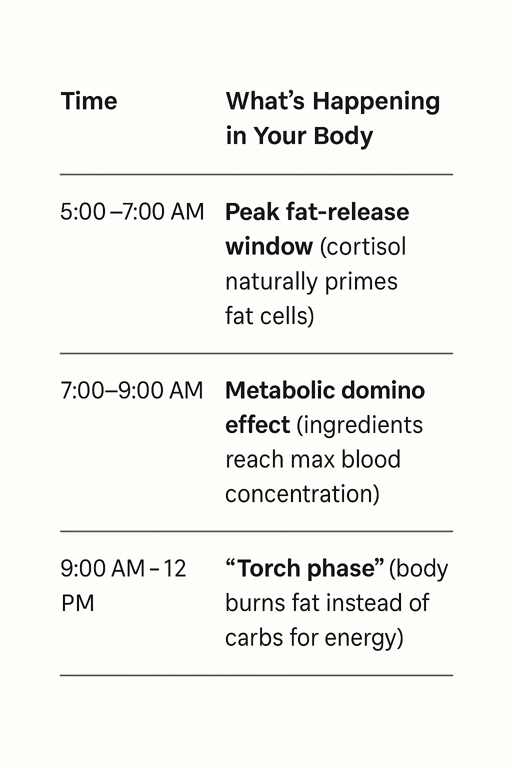 FitSpresso - fat burning phases